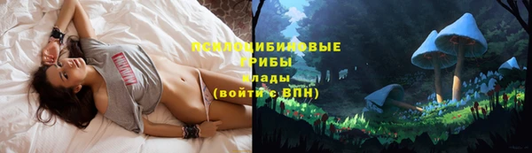ПСИЛОЦИБИНОВЫЕ ГРИБЫ Богородск