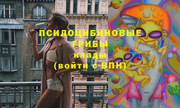 ПСИЛОЦИБИНОВЫЕ ГРИБЫ Богородск