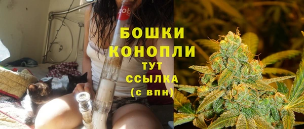 ПСИЛОЦИБИНОВЫЕ ГРИБЫ Богородск