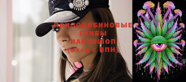 ПСИЛОЦИБИНОВЫЕ ГРИБЫ Богородск